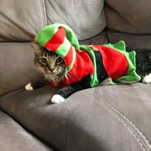 Meet your Posher, Delia